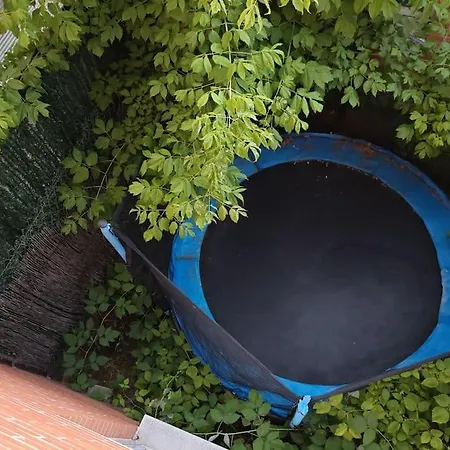 Marel Valladolid Casa de Férias *